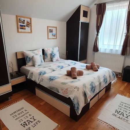 Smiley Apartment Сибиу Экстерьер фото