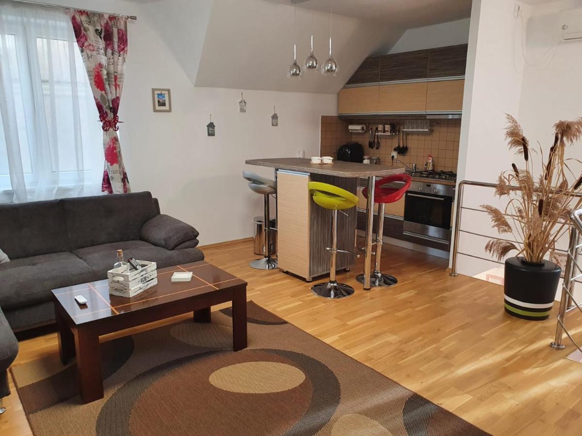 Smiley Apartment Сибиу Экстерьер фото