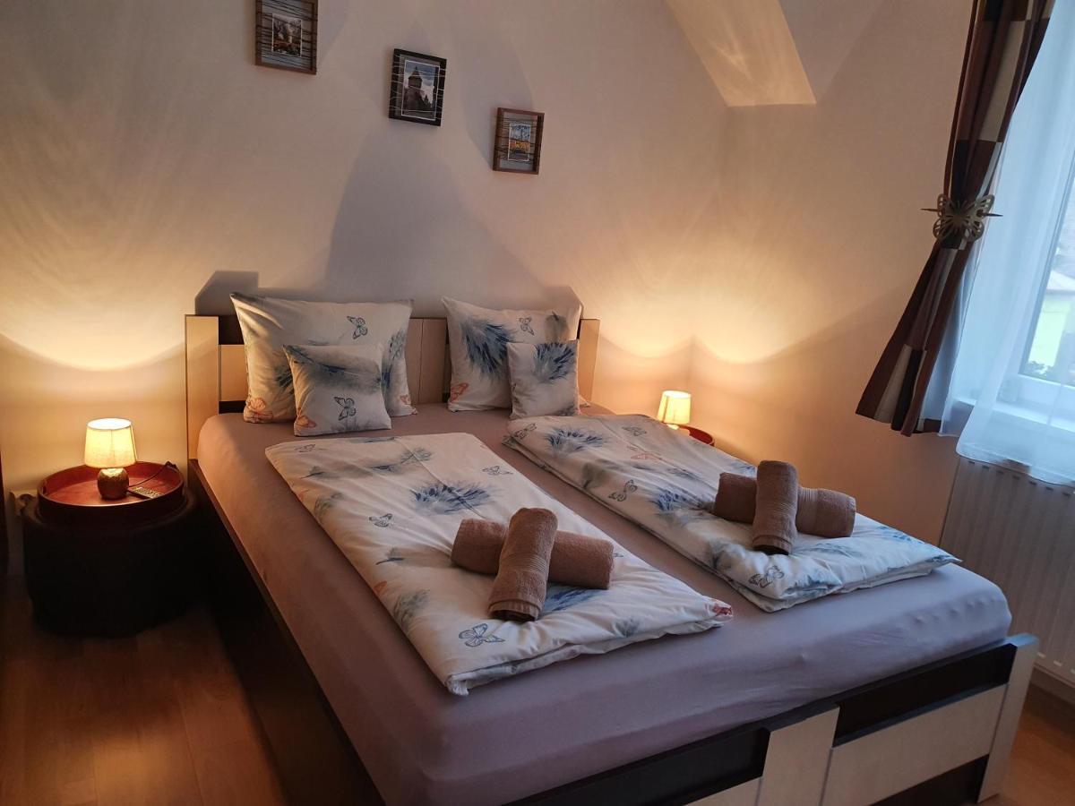 Smiley Apartment Сибиу Экстерьер фото