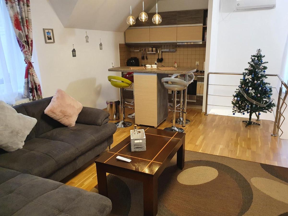 Smiley Apartment Сибиу Экстерьер фото