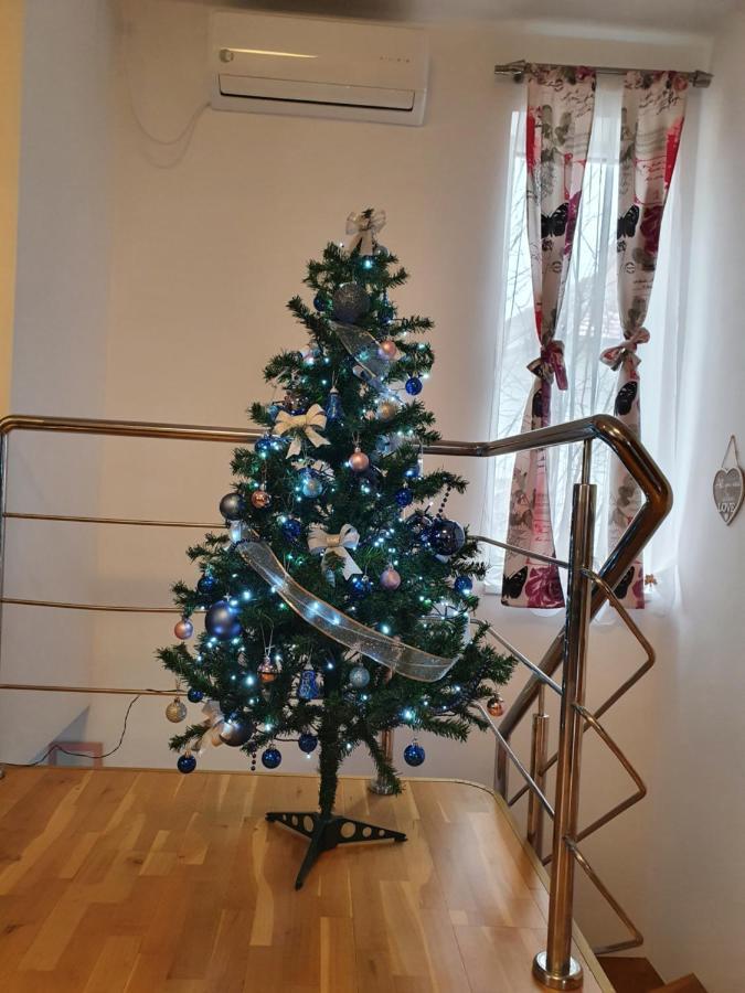 Smiley Apartment Сибиу Экстерьер фото