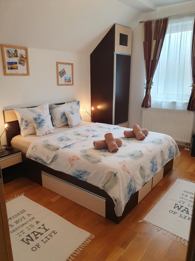 Smiley Apartment Сибиу Экстерьер фото