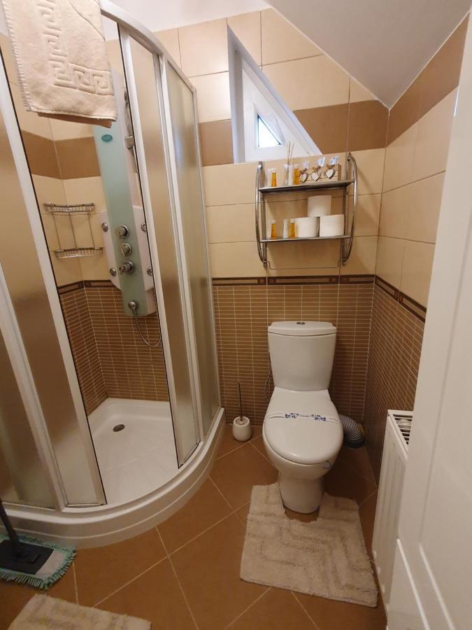 Smiley Apartment Сибиу Экстерьер фото
